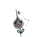 srcotumtickler99