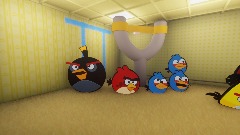 Angry birds in the backrooms?