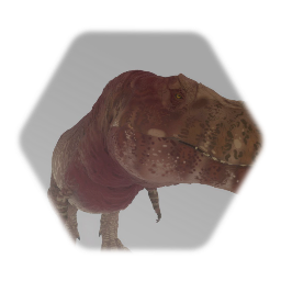 T.Rex resound Female