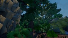 Jungle