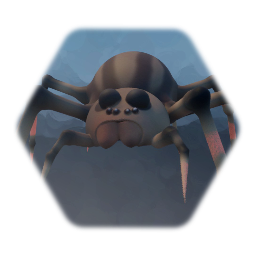 Spider
