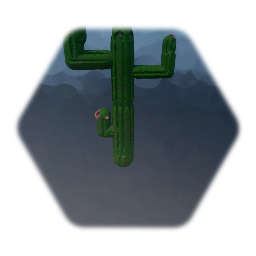Cactus