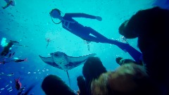 A screenshot taken in Dreams. 5 of 6.