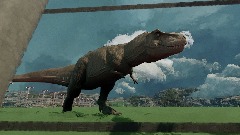 Watching a Trex (Trex paddock)