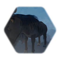 Wildebeest