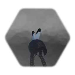 Native American hair with Eagle Feathers