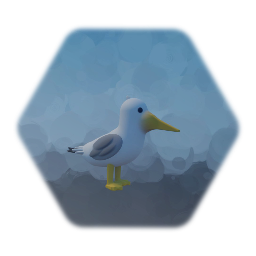 Seagull