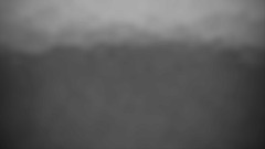 Jungle (main) part 1