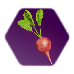 Radish