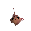 i8bacon64