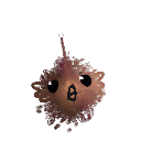 viniciusclaudir