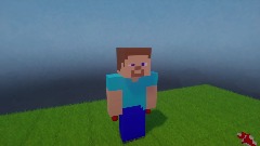 Steve hats