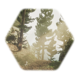 The Hills