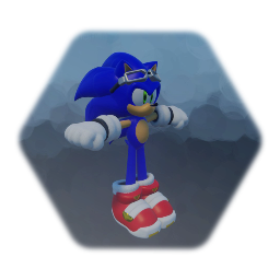 Rider Sonic (model)