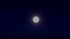 A screenshot taken in Dreams. 5 of 13.