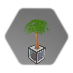 Stylish potted plant