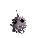 PandaLlamas5