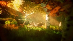 Experimental Forest 1