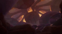 Spider's Mushroom Garden