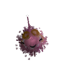 TobDollaSign