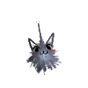 Catkita