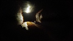 Found footage (FNAF Otherworldly Tape)