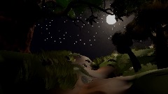 Ночь в лесу