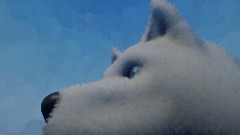 The Wolf Head Icon Collection (Showcase)