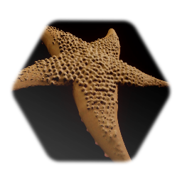 Starfish