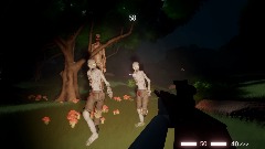 Dream FPS: Dead Night