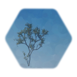 Shrubby tree - Serviceberry