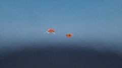 A screenshot taken in Dreams. 11 of 15.