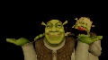 Shrek stuff