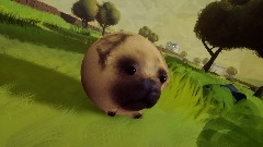 Big Pug's Wild Race