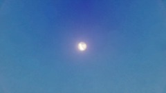 A screenshot taken in Dreams. 1 of 10.