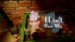 I Don't Know Why