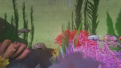 Turtle reef