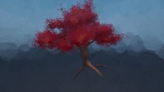 Japanese Maple Tree