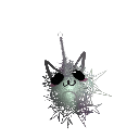 Catkita