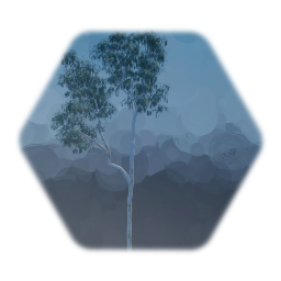 Eucalyptus Tree