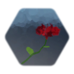 ハイビスカス - 2019/9/9