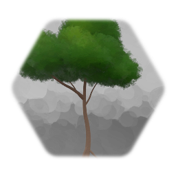 Forest tree cover 2