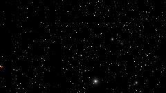 FEEDING DUCKS 2 - Space