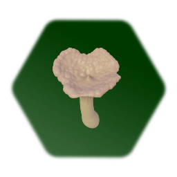 Mountain Mushroom