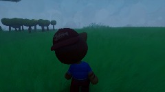 La vida de un gatito