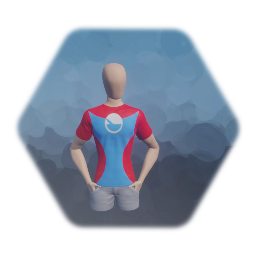 Super Bowl DreamTees.com Shirt