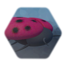 Pink Ladybug