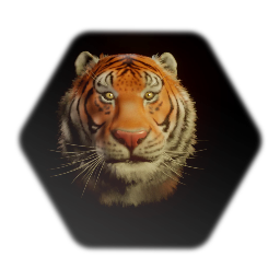 Tiger Bust