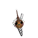 babpopo161