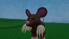 Rat